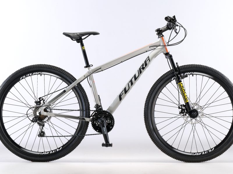 Bicicleta MTB Modelo LYNCECOMP R.29" Gris Claro (matte)