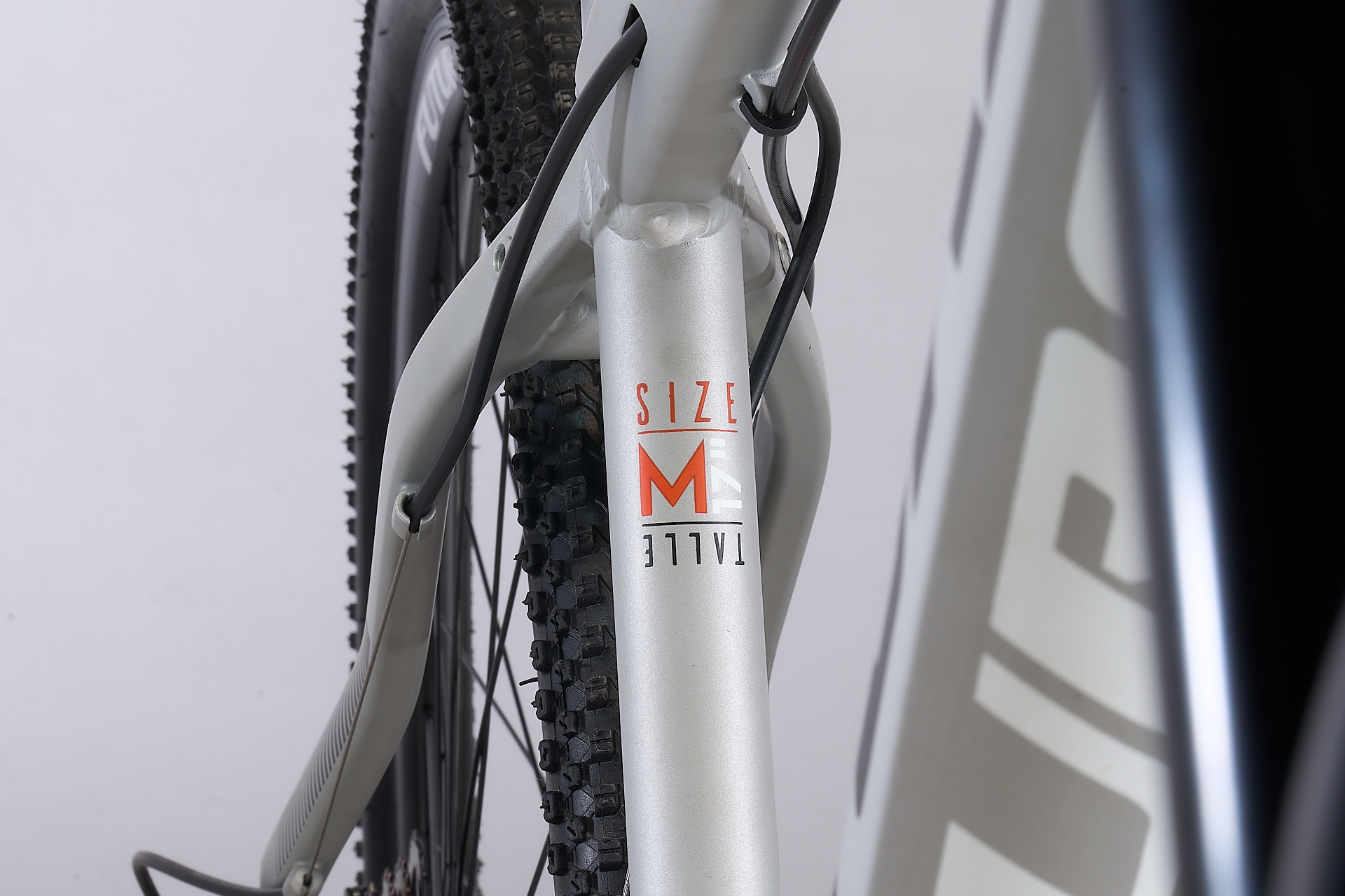 Bicicleta MTB Modelo LYNCECOMP R.29" Gris Claro (matte) - Imagen 4